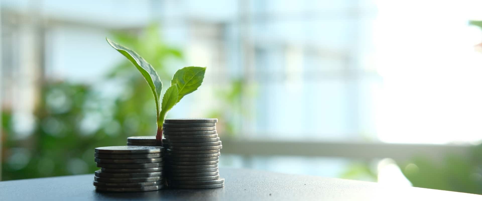 Business Savings
